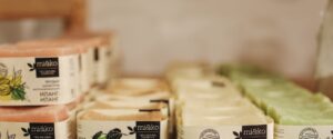 Collection de cosmétiques naturels avec des plantes vertes